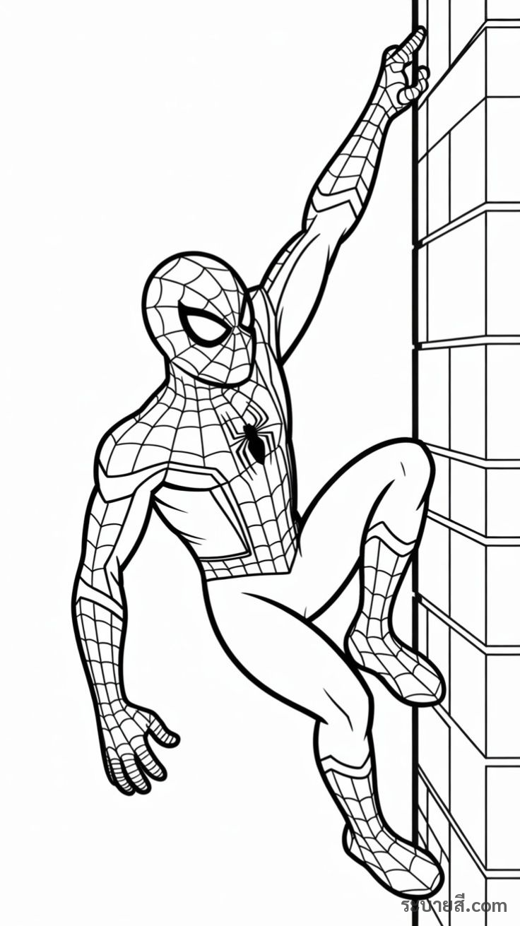 ภาพวาดระบายสี SpiderMan 04