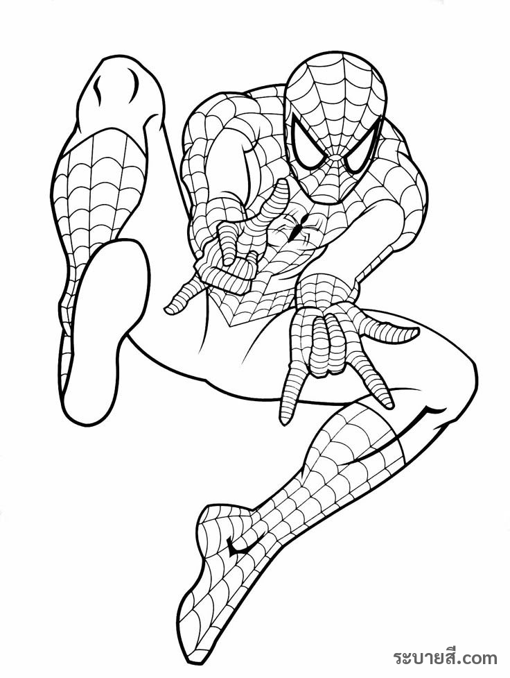 ภาพวาดระบายสี SpiderMan 08