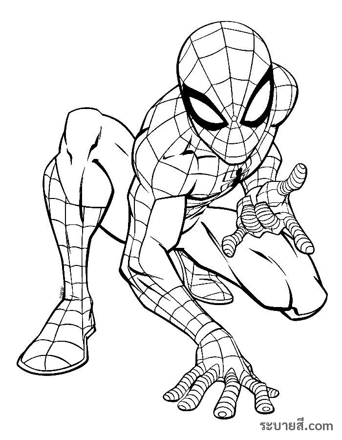 ภาพวาดระบายสี SpiderMan 09