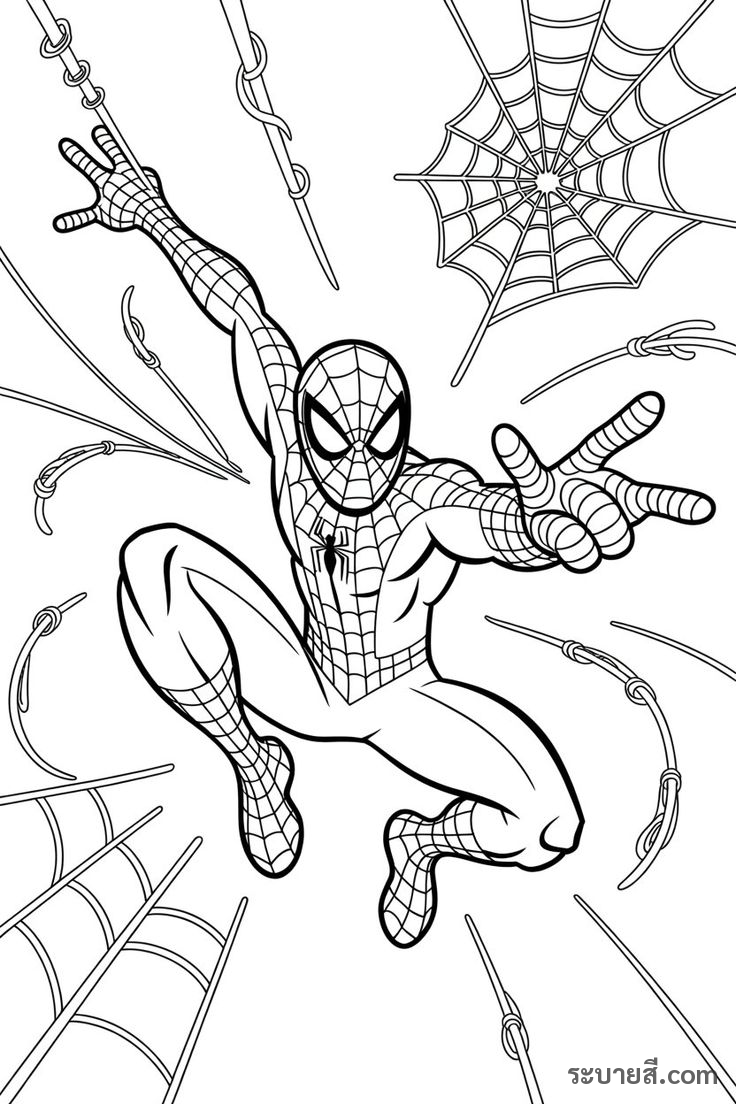 ภาพวาดระบายสี SpiderMan 15