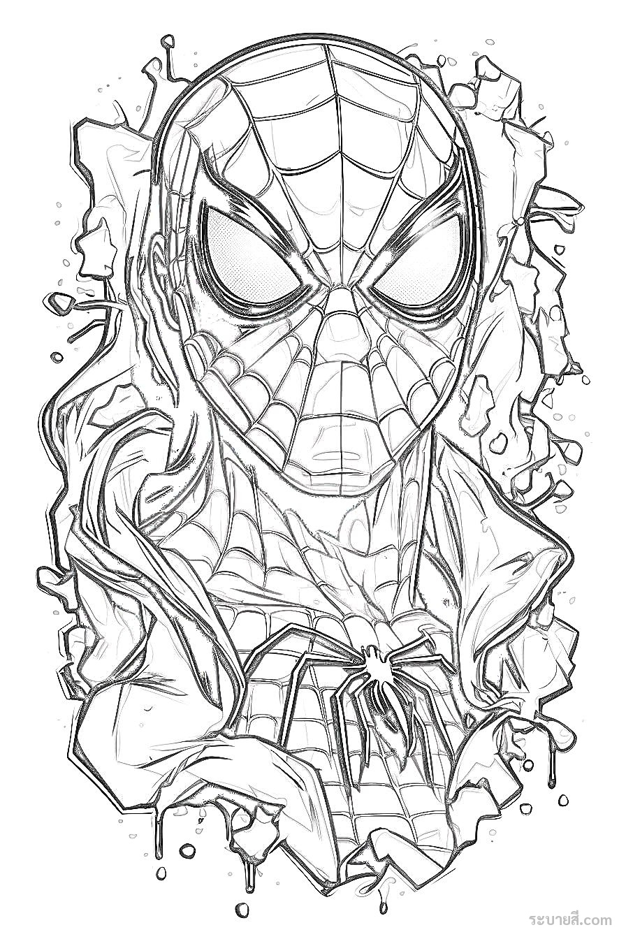 ภาพวาดระบายสี SpiderMan 41